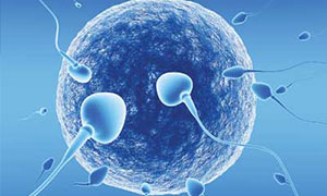 best infertility specialist kangra